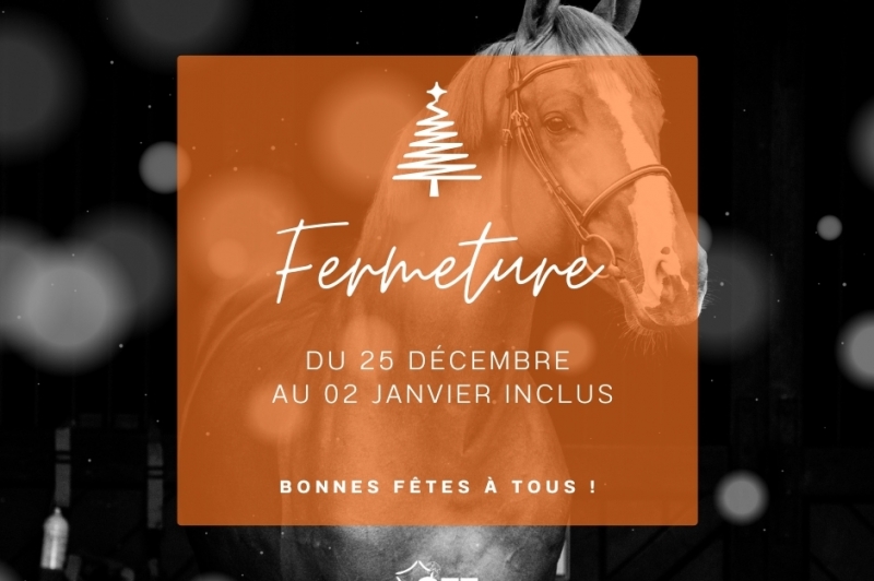 LE GFE VOUS SOUHAITE DE BELLES FÊTES DE FIN D'ANNÉE