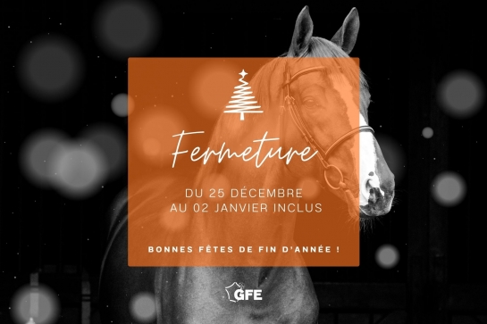 LE GFE VOUS SOUHAITE DE BELLES FÊTES DE FIN D'ANNÉE