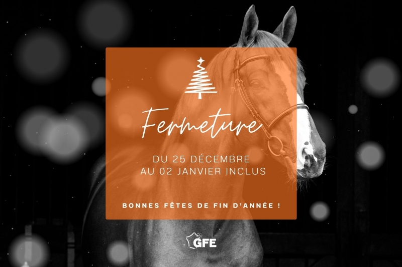 LE GFE VOUS SOUHAITE DE BELLES FÊTES DE FIN D'ANNÉE