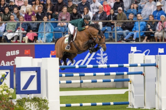 LORD PEZI EN SEMENCE FRAICHE EN FRANCE