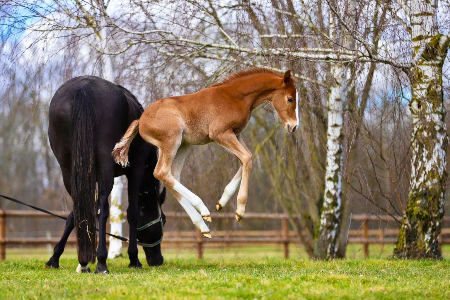 C'EST PARTI POUR FEVRIER EN FOLIE !