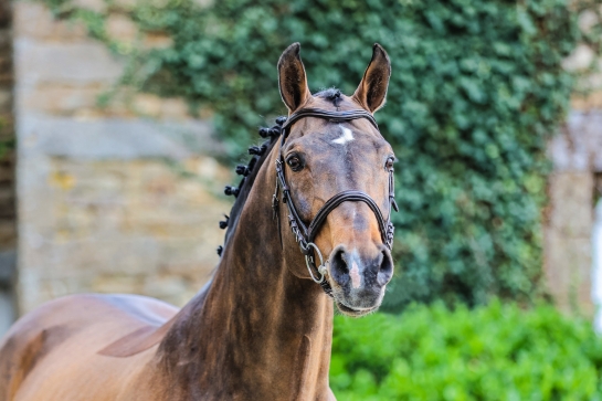 SEMENCE FRAICHE ET JOURS FERIES