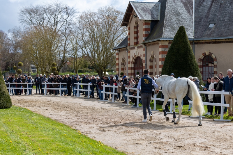 RENDEZ VOUS À TAMERVILLE