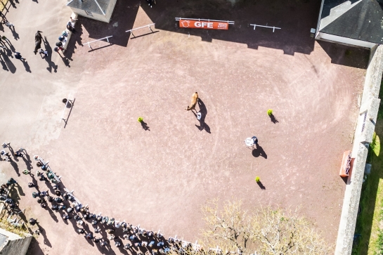 SOUS LE SOLEIL DE TAMERVILLE