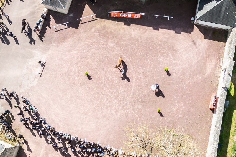 SOUS LE SOLEIL DE TAMERVILLE