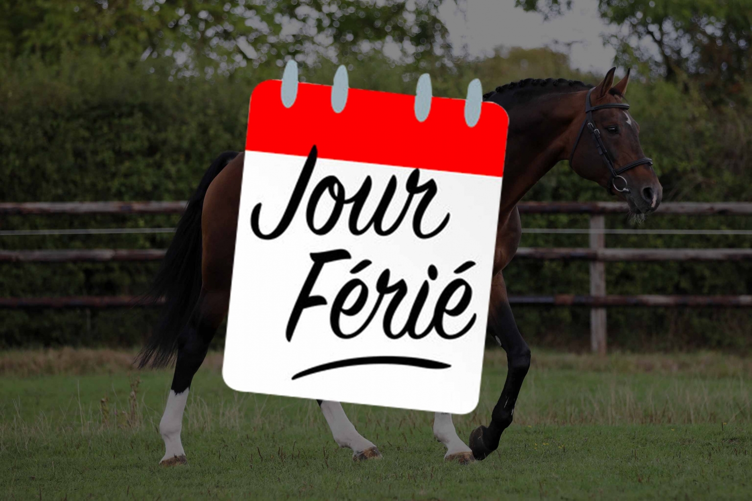 SEMENCE FRAICHE ET JOURS FERIES