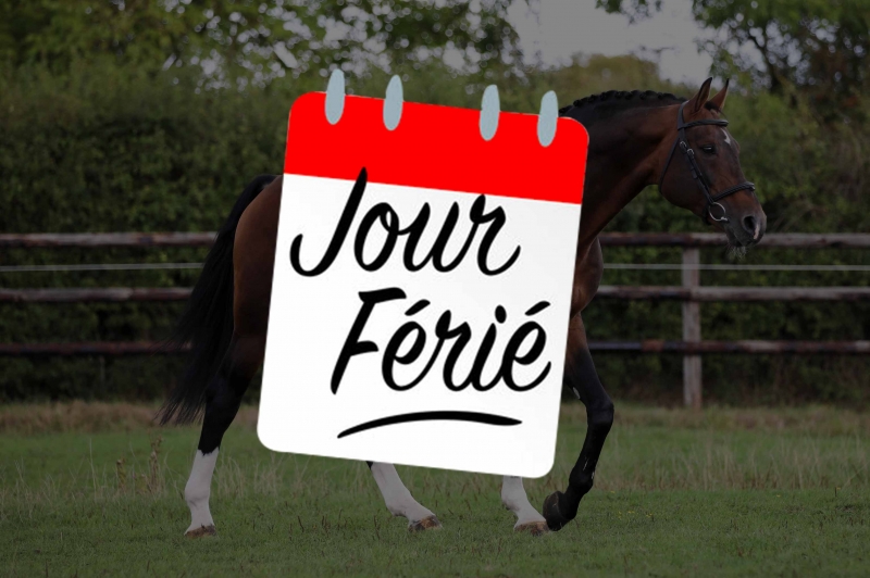 SEMENCE FRAICHE ET JOURS FERIES